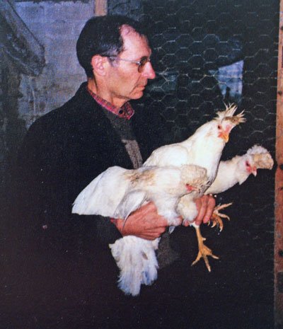 Trivellato